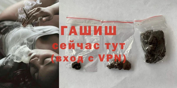 стаф Богородск